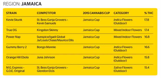 thc strain - jamaica