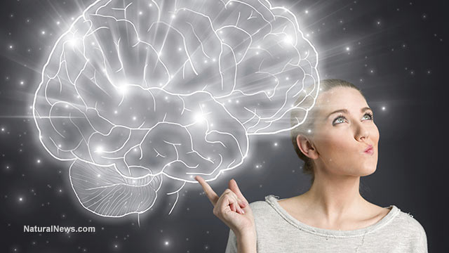 Studies show probiotics essential to brain health