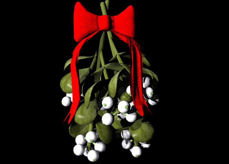 Mistletoe