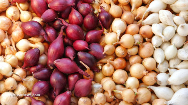 Bulk-Onions-Red-Brown-White-Vegetables