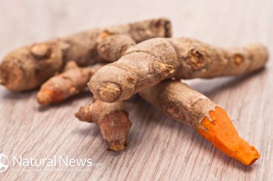 Turmeric-Root-650X