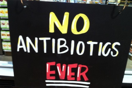 antibiotics