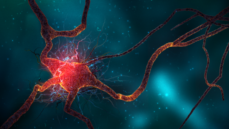 5 ways to naturally spur neurogenesis – improve cognition through newly produced brain cells