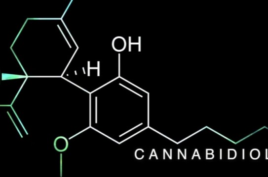 Cannabidiol