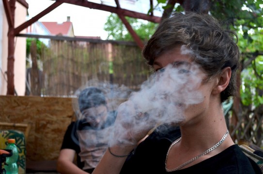 joint