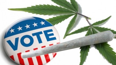marijuanavote2014