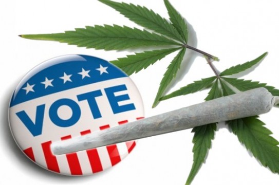 marijuanavote2014