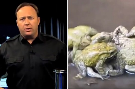 Alex-Jones-gay-Frogs