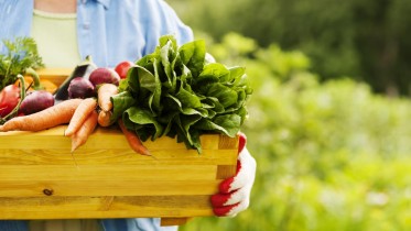 Senior-Woman-Holding-Box-Vegetables