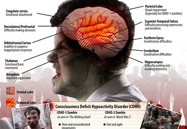 Scientists reveal a zombie outbreak could wipe out humanity in 100 days: Here’s how to survive if it happens