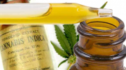 CBD Oil