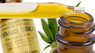 CBD Oil