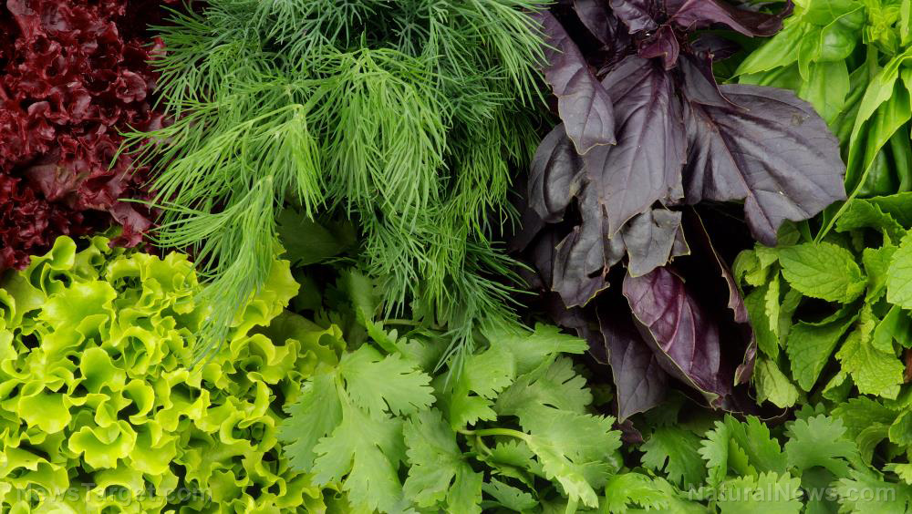 Benefits of green leafy vegetables for skin